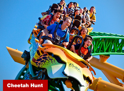 SeaWorld Two Park Ticket 